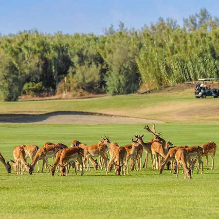 Σπίτι διακοπών V4 Zona Albarella Island